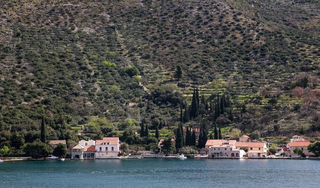 Apartments Zaton Bay Dubrovnik Quarto foto